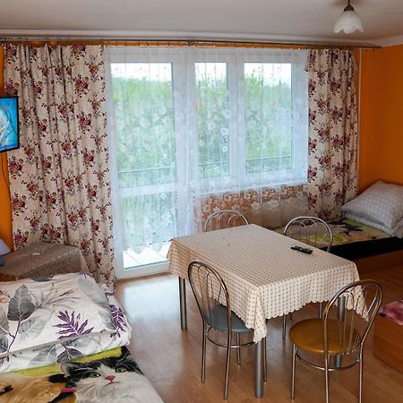 Kwatery Prywatne U Gosi Nad Solina Solina  Exterior foto